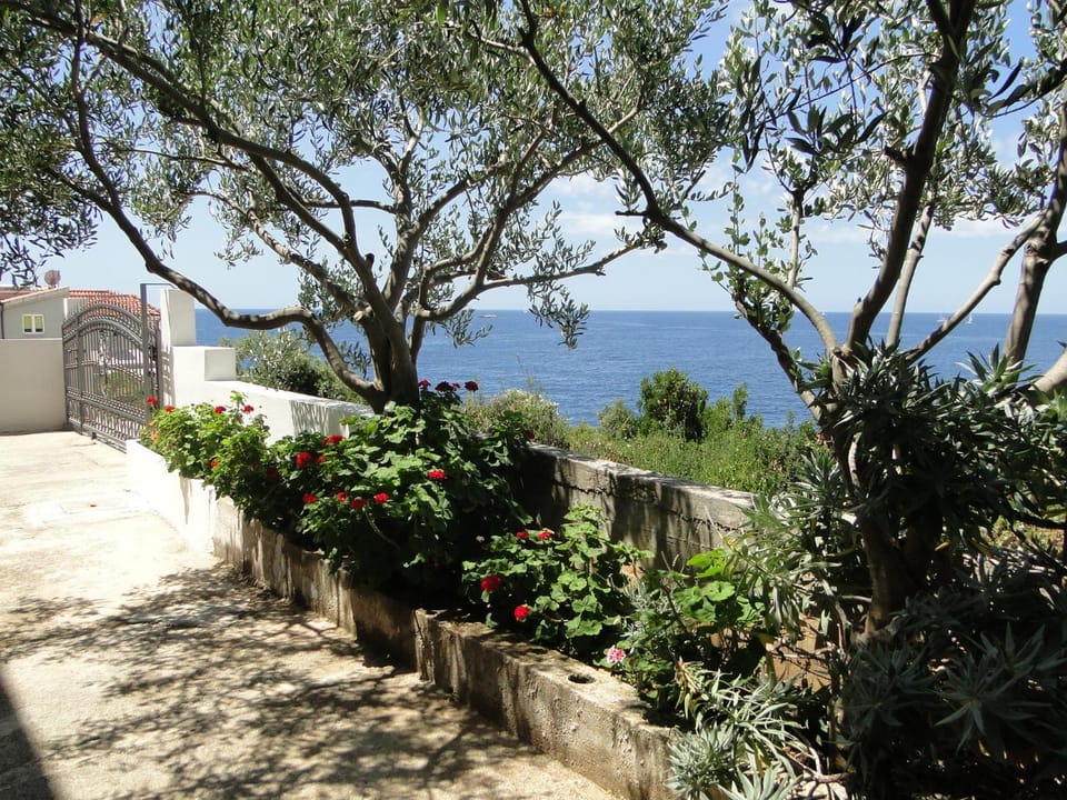 Property building, Garden view