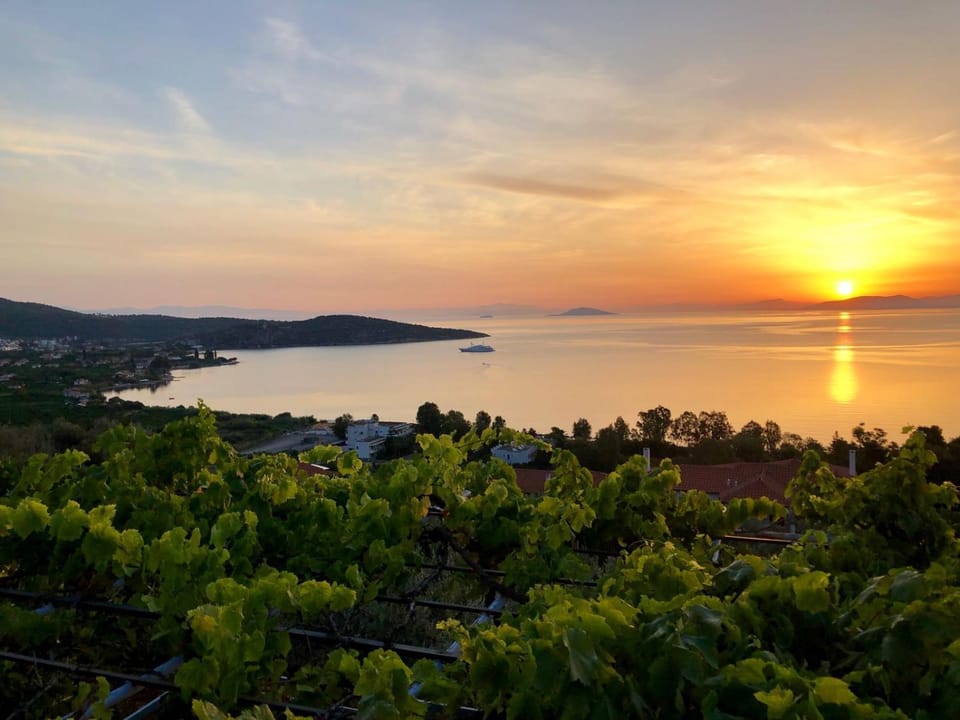 Garden view, Sea view, Sunrise