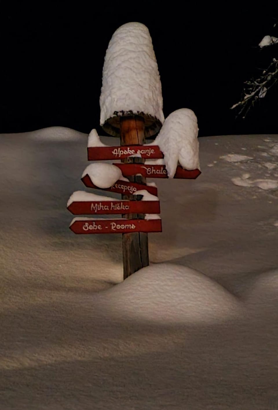 Farm Stay "Alpine Dreams" Farm Stay in Carinthia, Austria