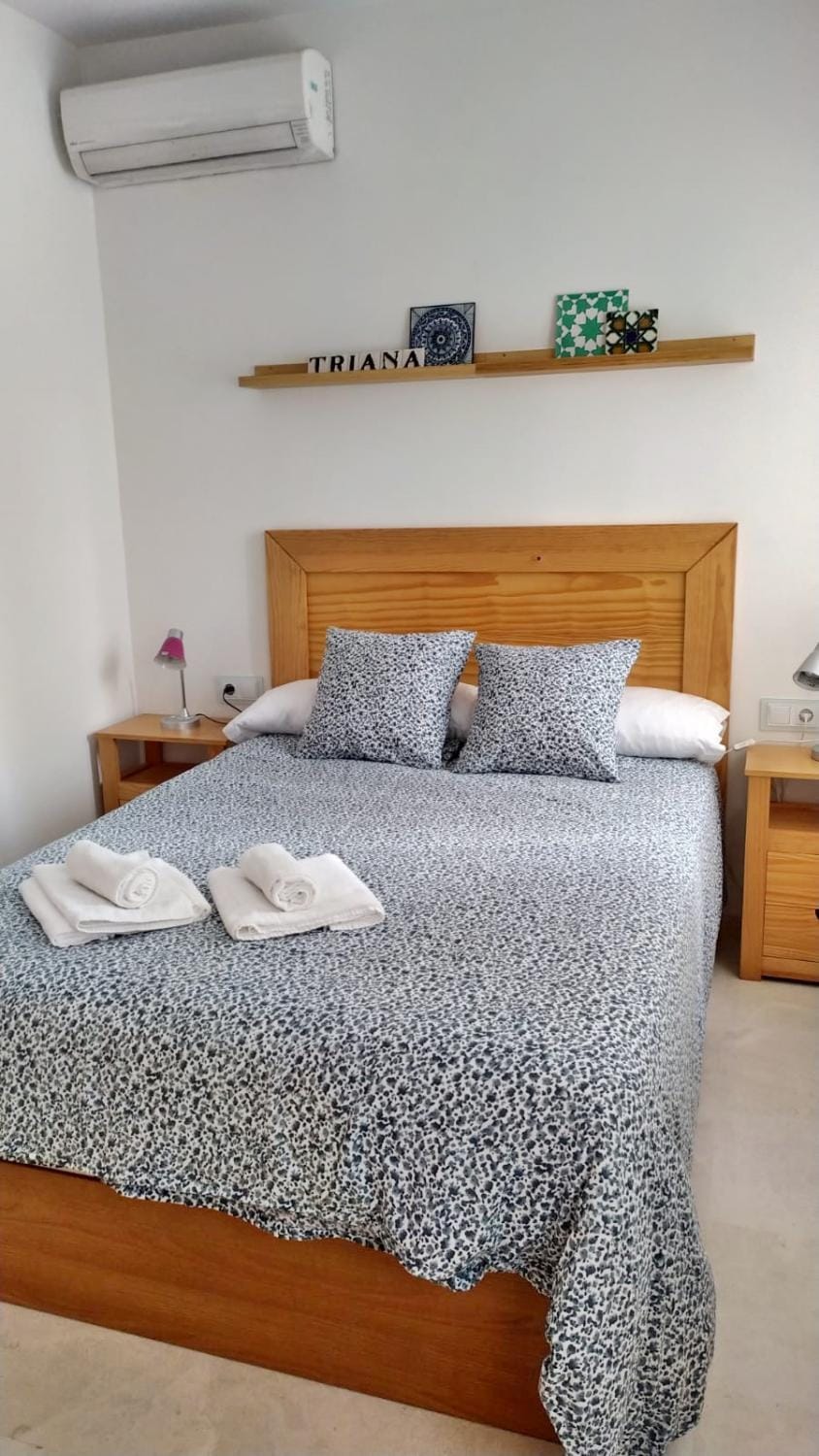 La Luz de Alfarería en el corazón de Triana Apartment in Seville