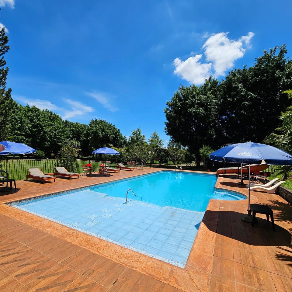 Day, Pool view, Swimming pool, sunbed