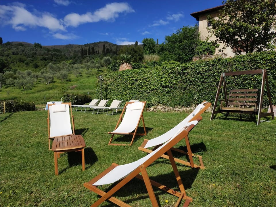 Patio, Garden