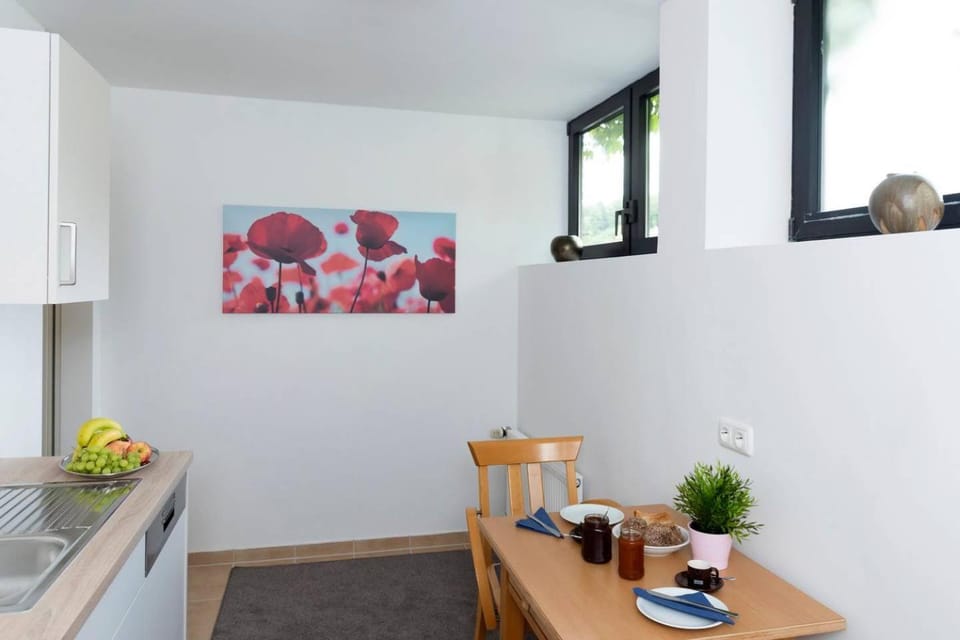 Wiesenzauber Appartement Apartment in Hesse