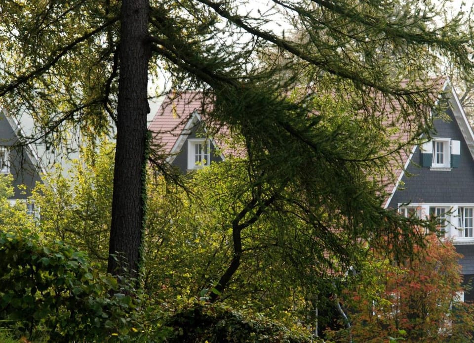 Wildbach Appartement Apartment in Hesse