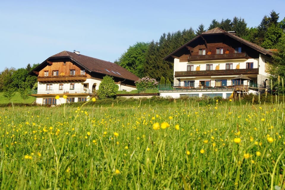 Property building, Natural landscape, Garden