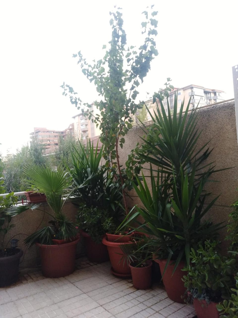 Apartamento Turístico Príncipe Cáceres AT-CC-00415 Apartment in Cáceres‎