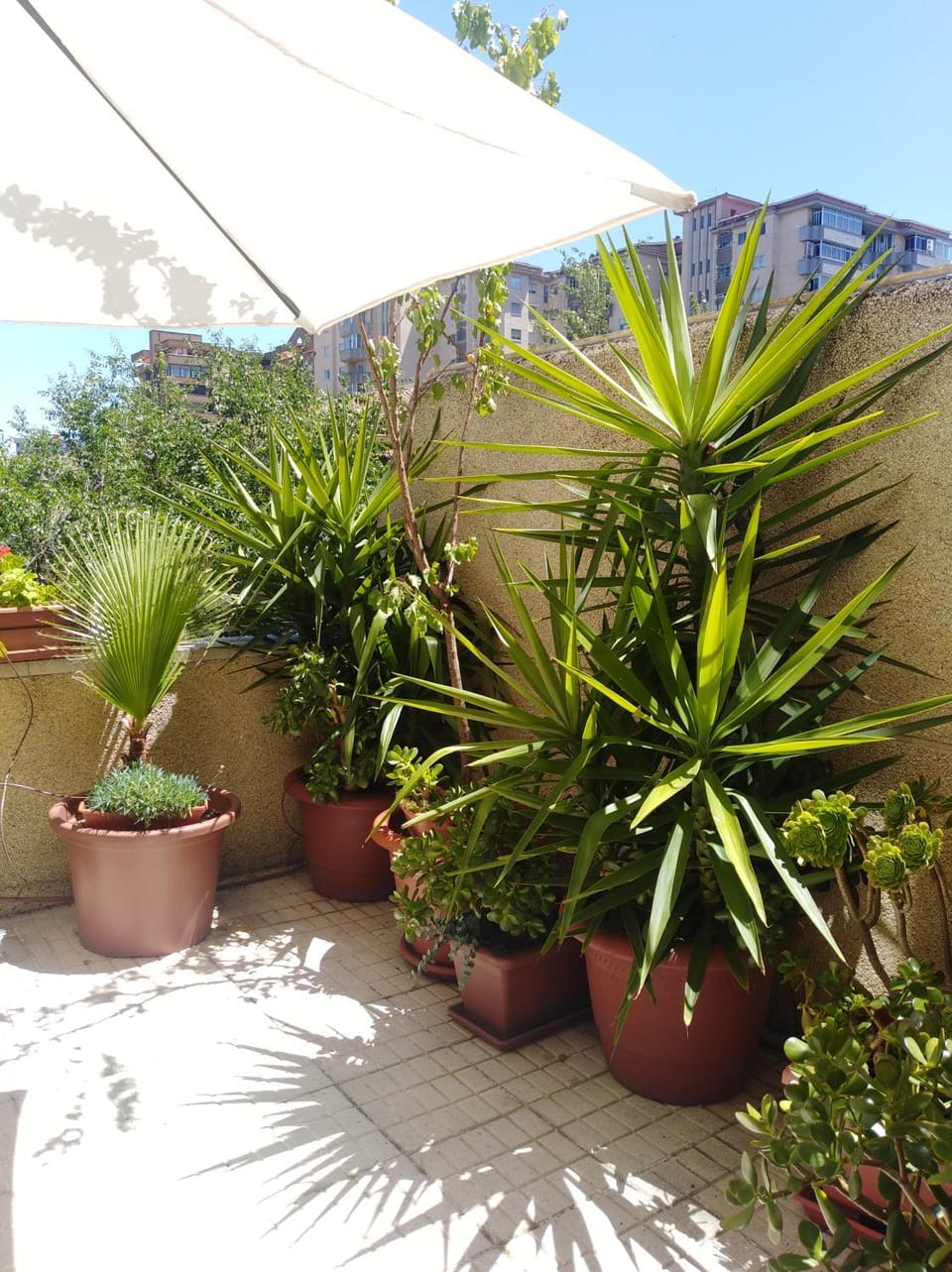 Apartamento Turístico Príncipe Cáceres AT-CC-00415 Apartment in Cáceres‎