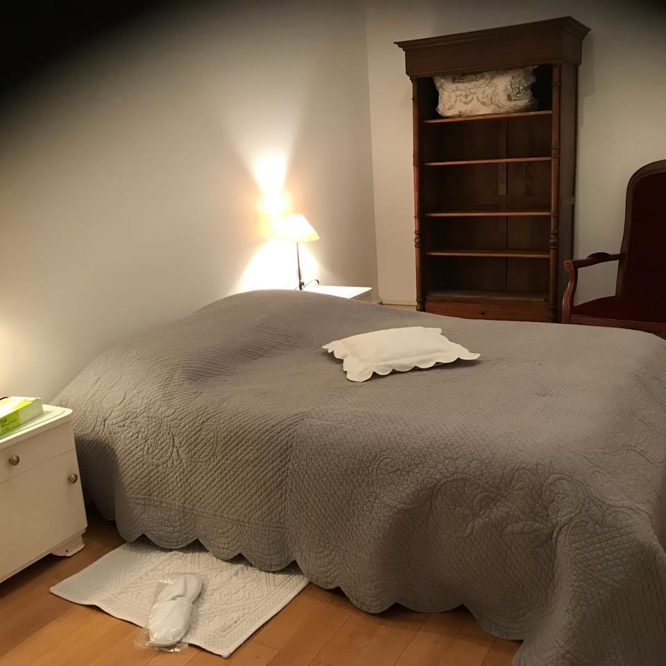 2 Boulevard de Nancy Apartment in Strasbourg