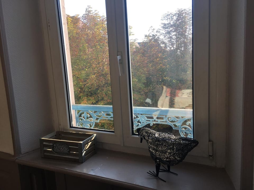 Il Piano Nobile Apartment in Colmar