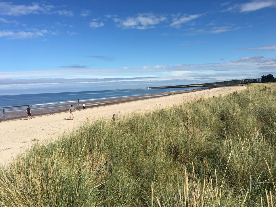 Natural landscape, Beach