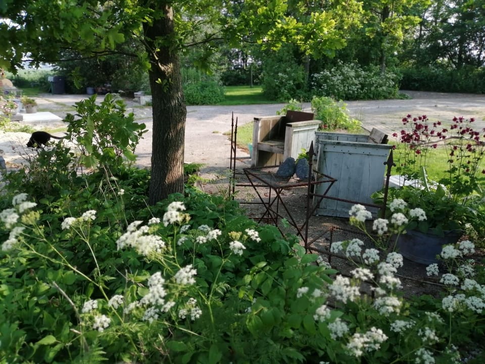 Altenburgpleats Bed and Breakfast in Leeuwarden