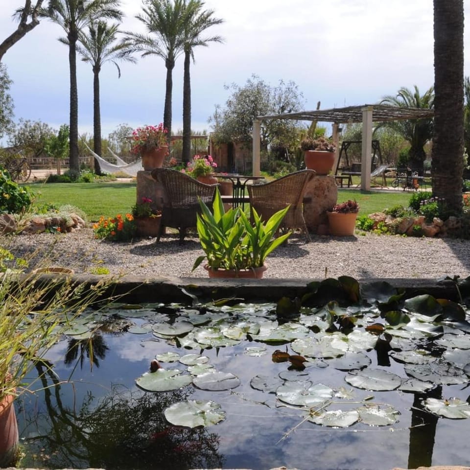 Natural landscape, Garden view