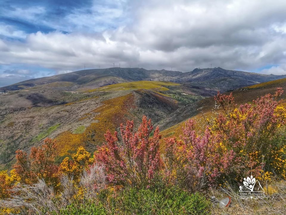 Nearby landmark, Natural landscape, Hiking, Cycling