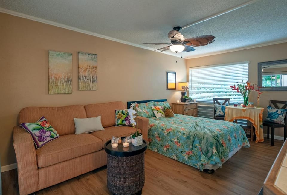 Sandpiper 120B House in Princeville