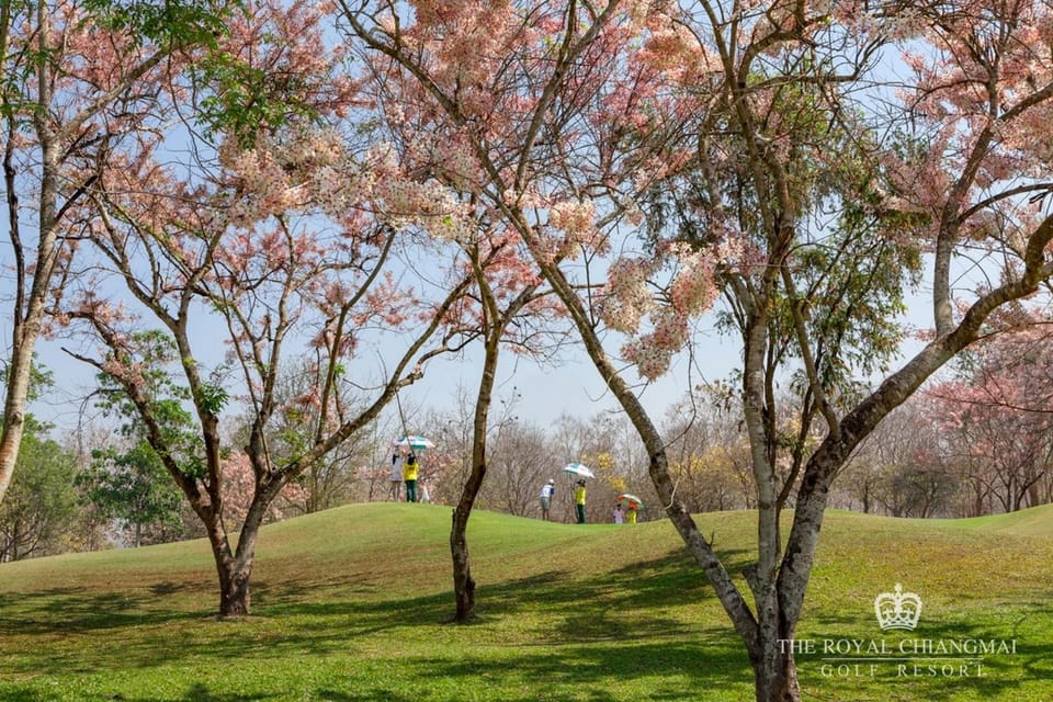 Golfcourse