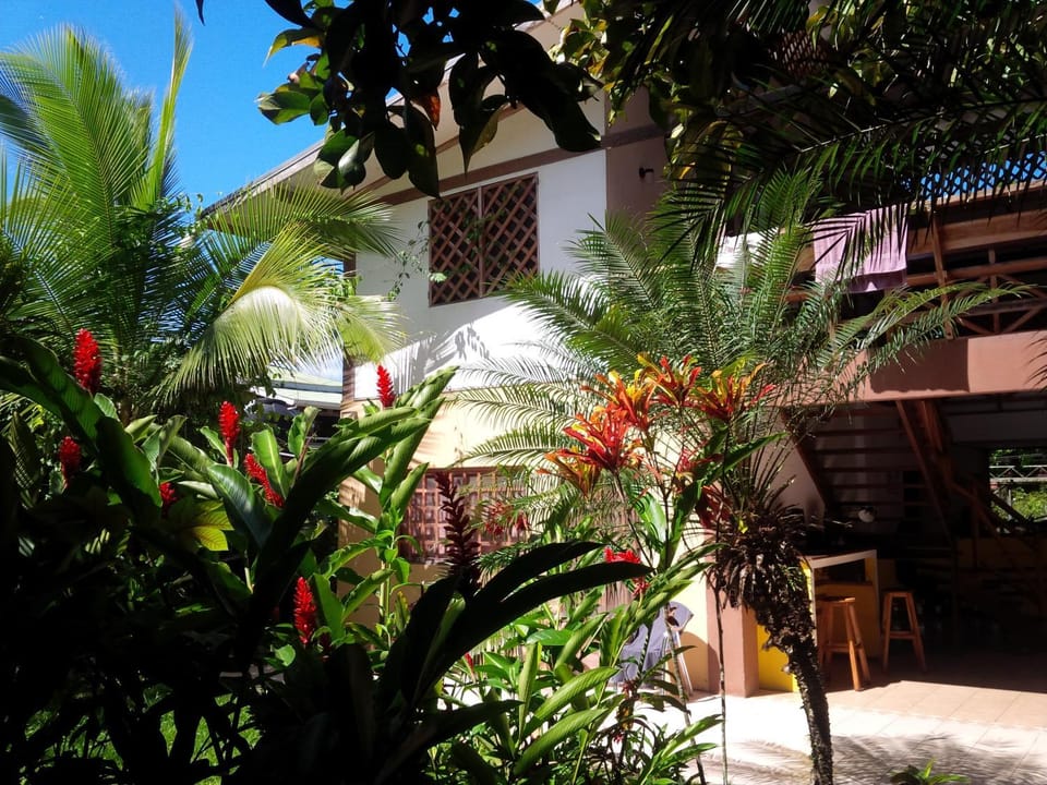 Pagalù Hostel Hostel in Puerto Viejo Talamanca