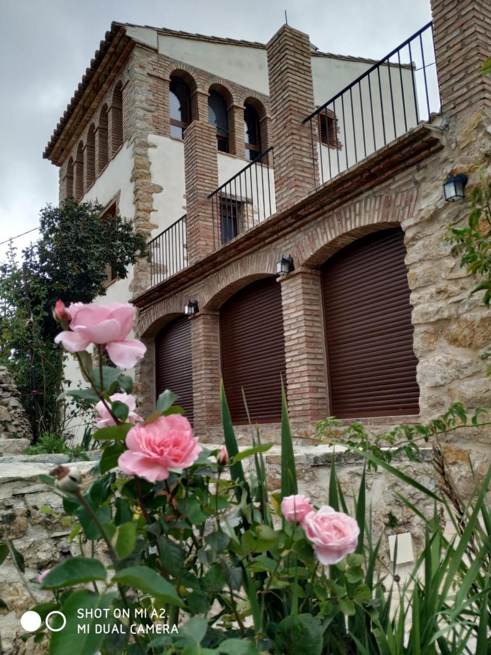 Property building, Garden, Garden view