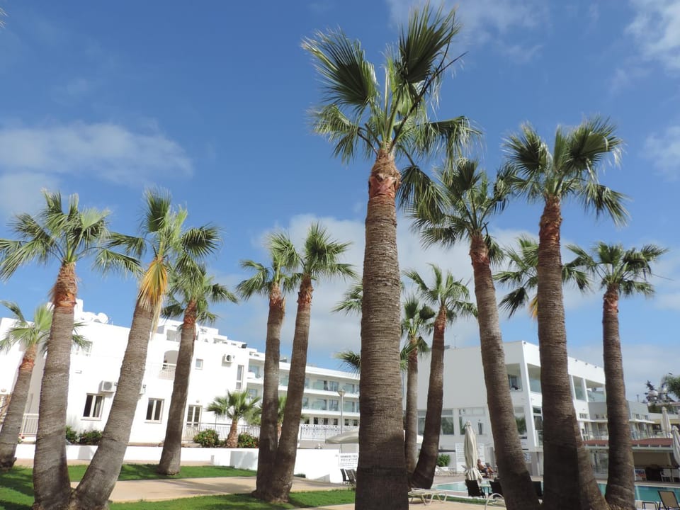 Patio, Balcony/Terrace