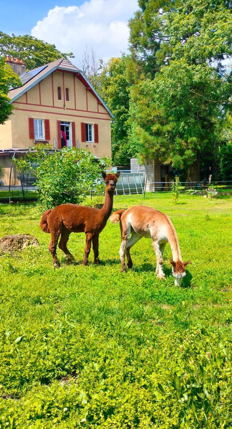 Calme et Volupté Bed and Breakfast in Bourgogne-Franche-Comté