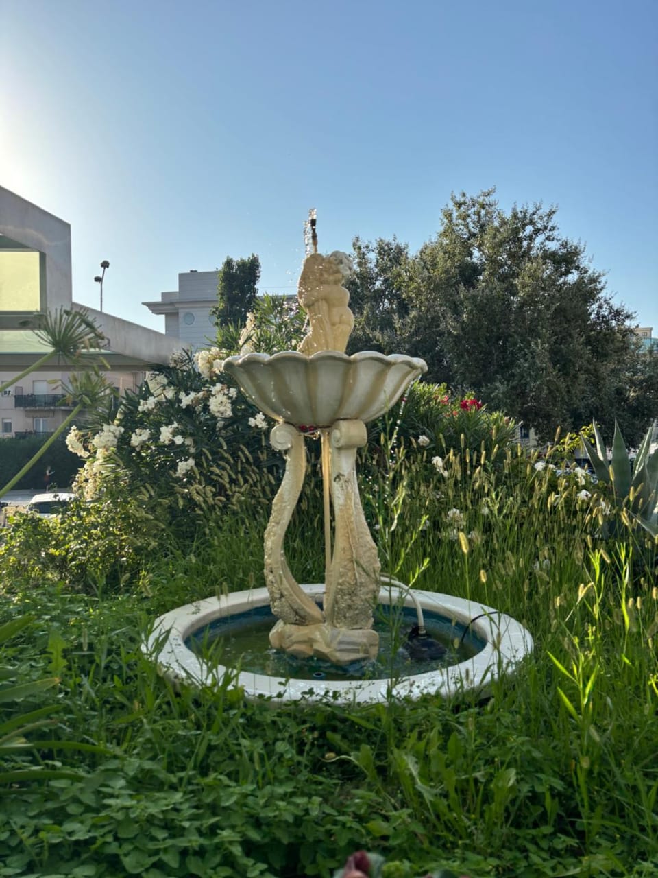 Garden view