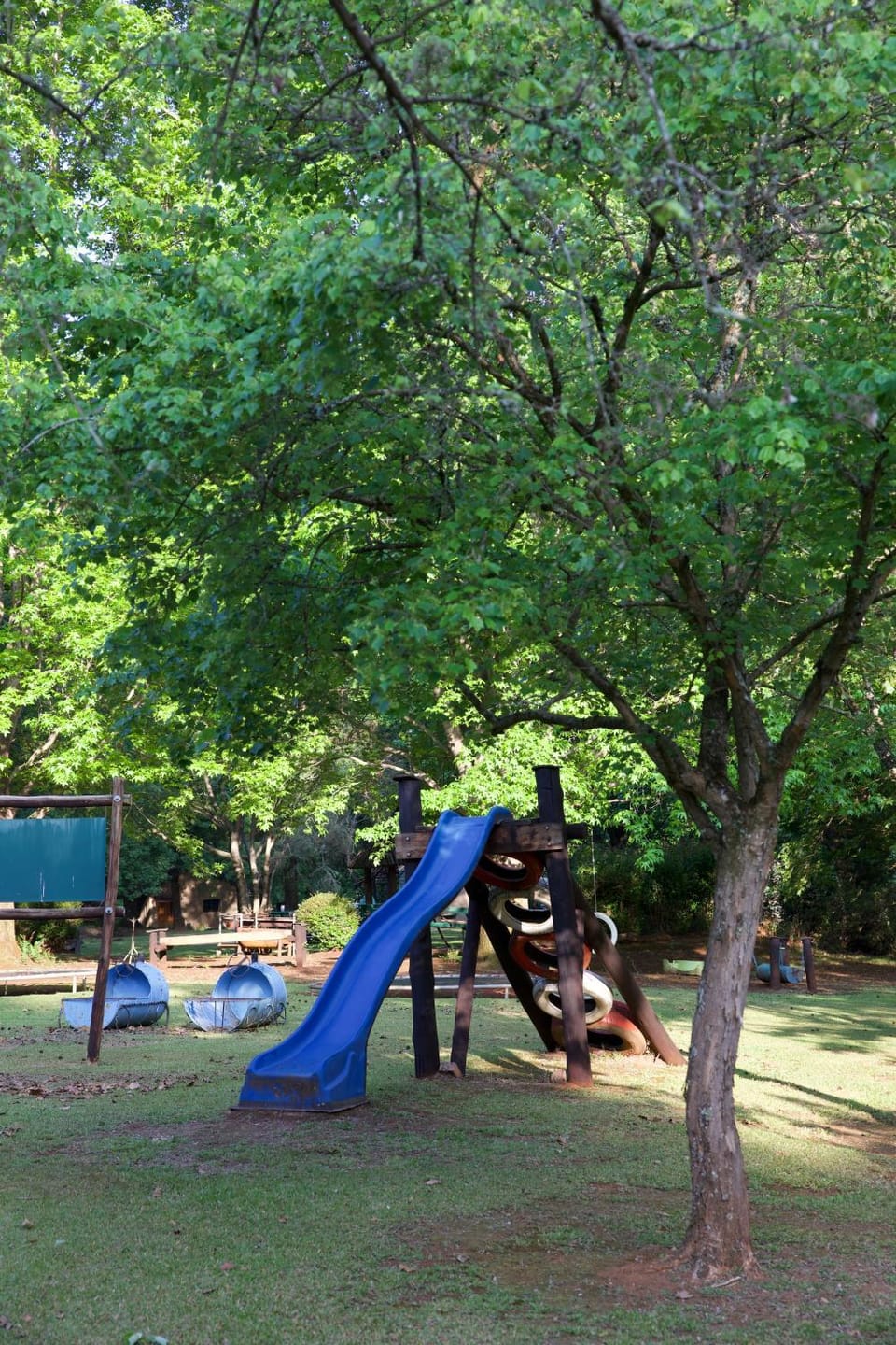 People, Natural landscape, Children play ground, Garden, Garden view, group of guests