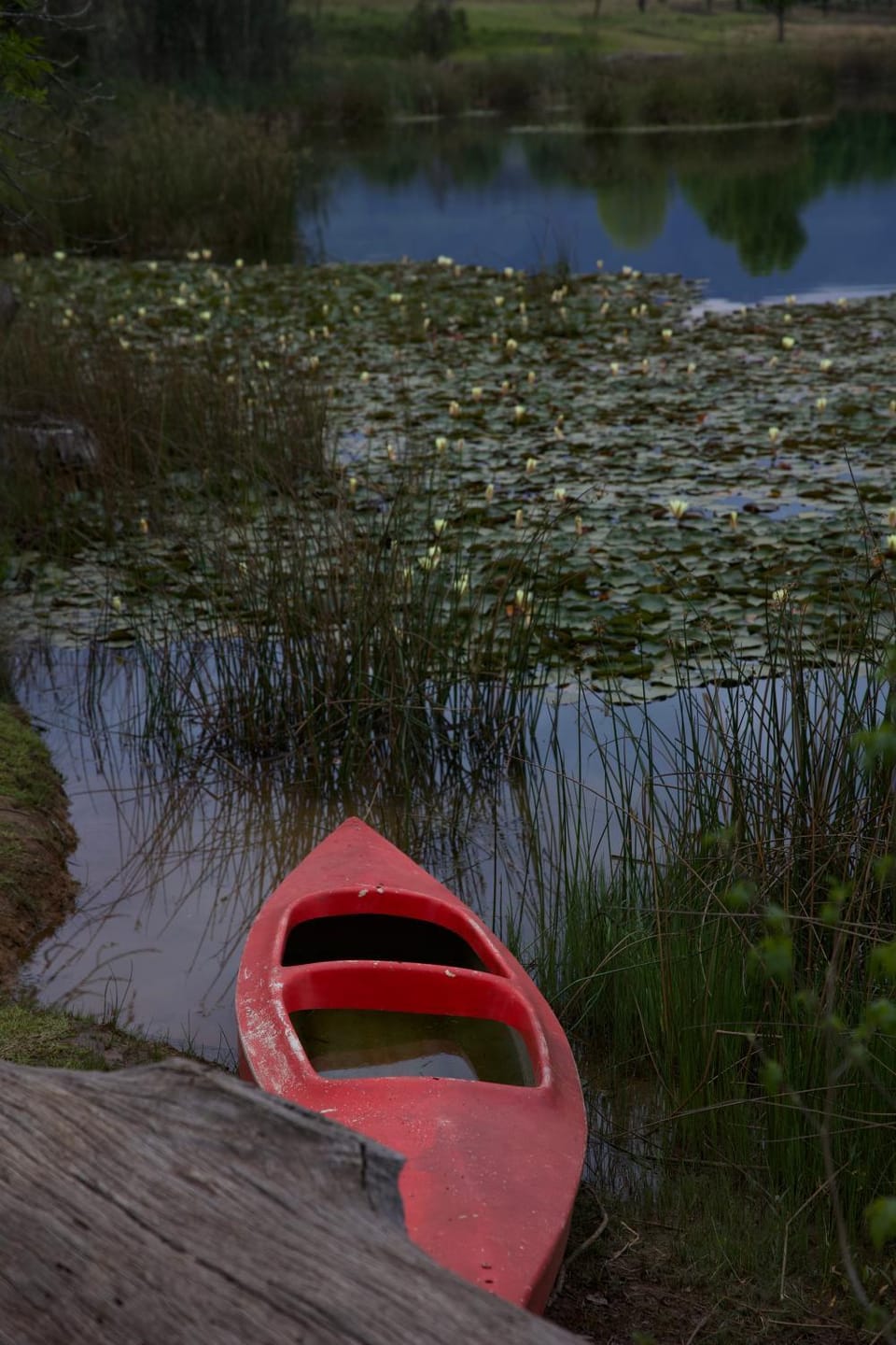 Natural landscape, Lake view