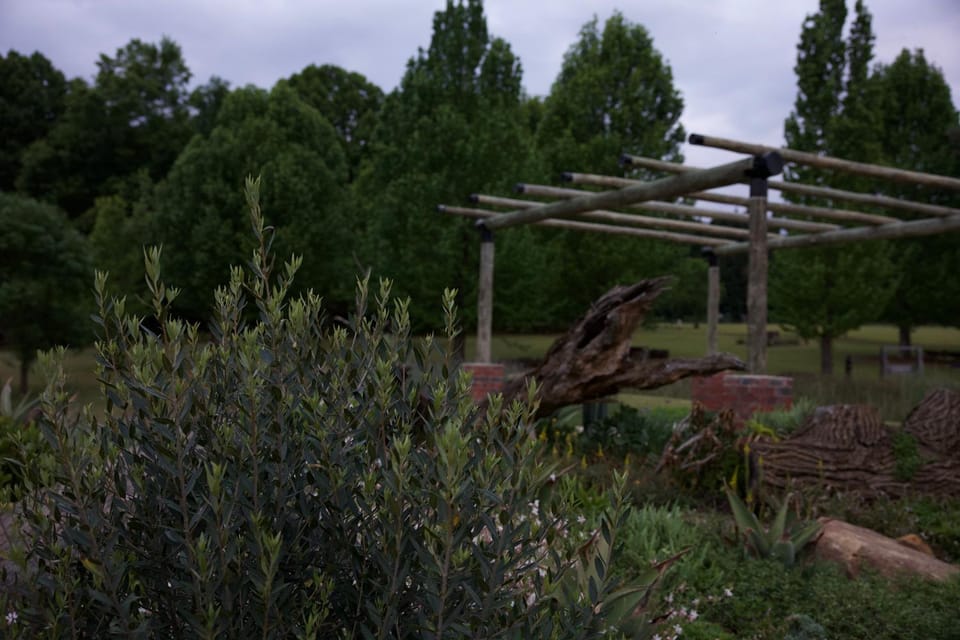 Spring, Day, Natural landscape, Garden, Garden view