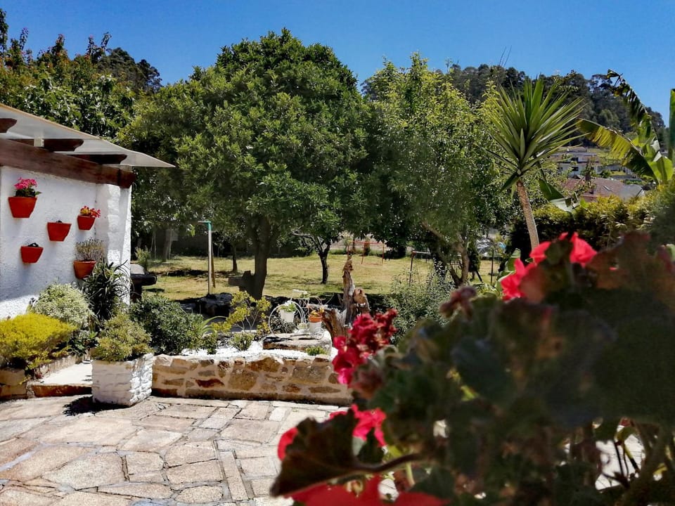 Property building, Garden, Garden view