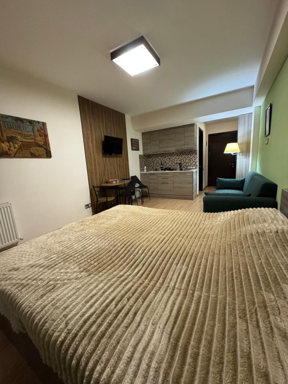 Bed, Living room, Photo of the whole room, Seating area, Bedroom