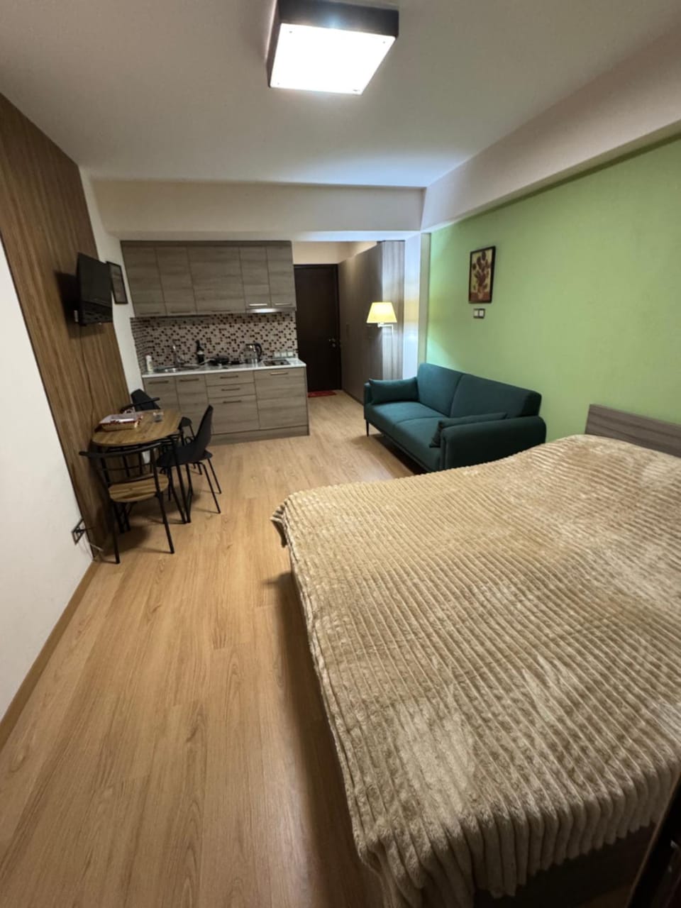 Bed, TV and multimedia, Kitchen or kitchenette, Living room, Photo of the whole room, Seating area, Bedroom