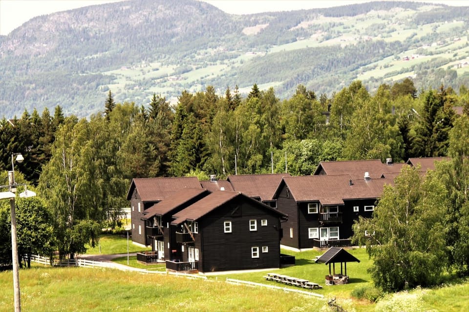 Property building, Neighbourhood, Bird's eye view, Summer