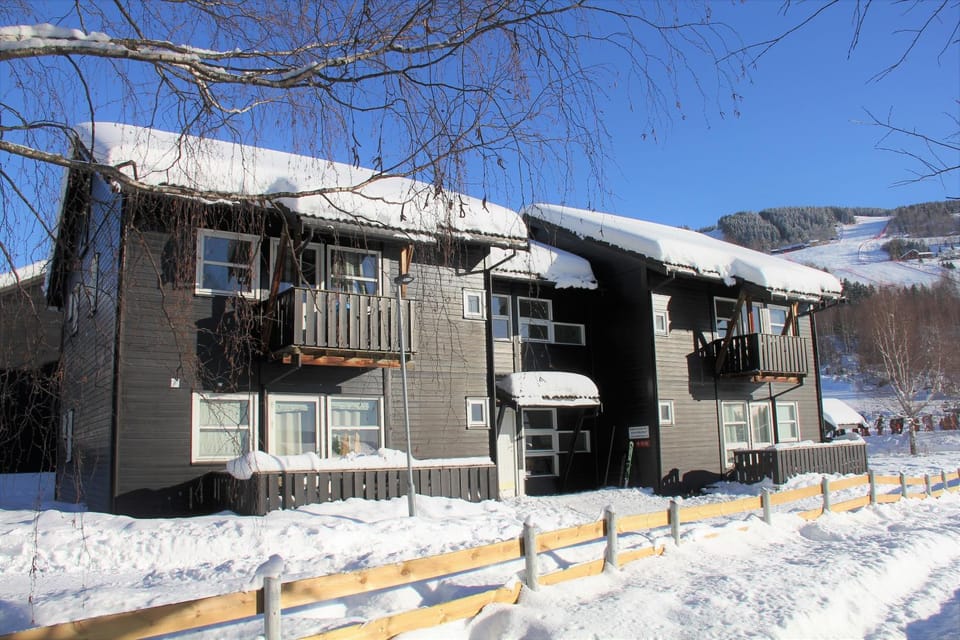 Property building, Winter