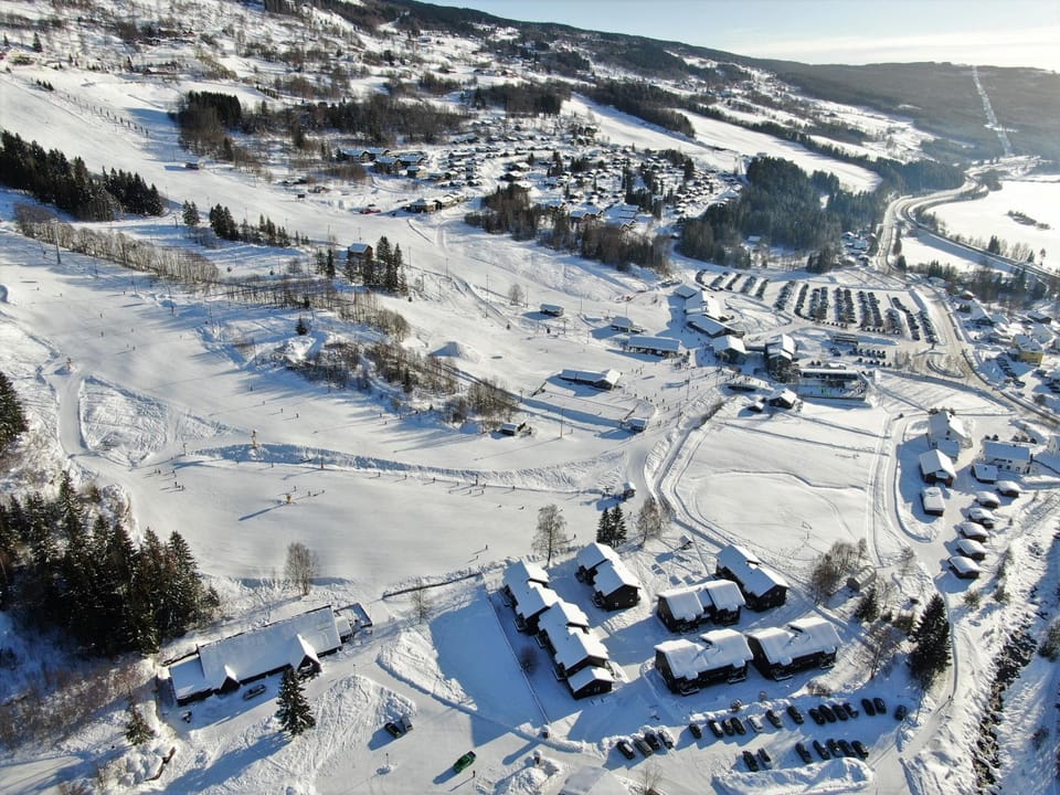 Ski School, Skiing