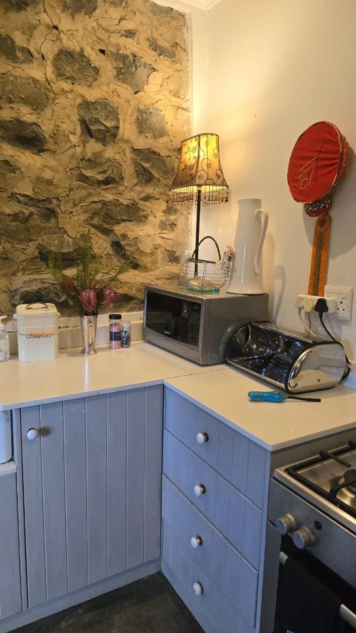 Kitchen or kitchenette, pet friendly, stove, toaster