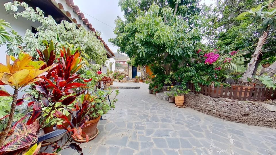 Spring, Balcony/Terrace, Garden view