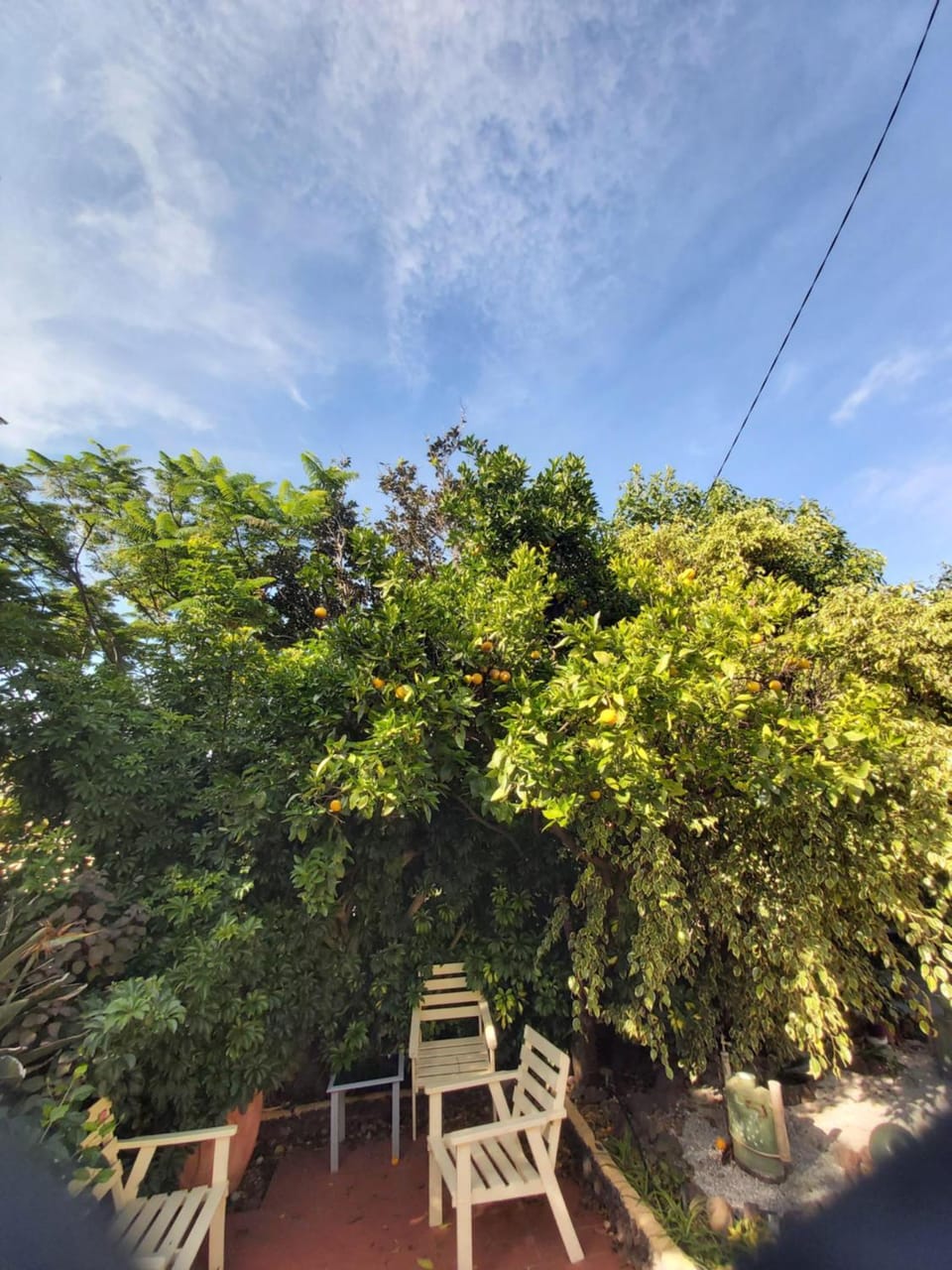 Garden view