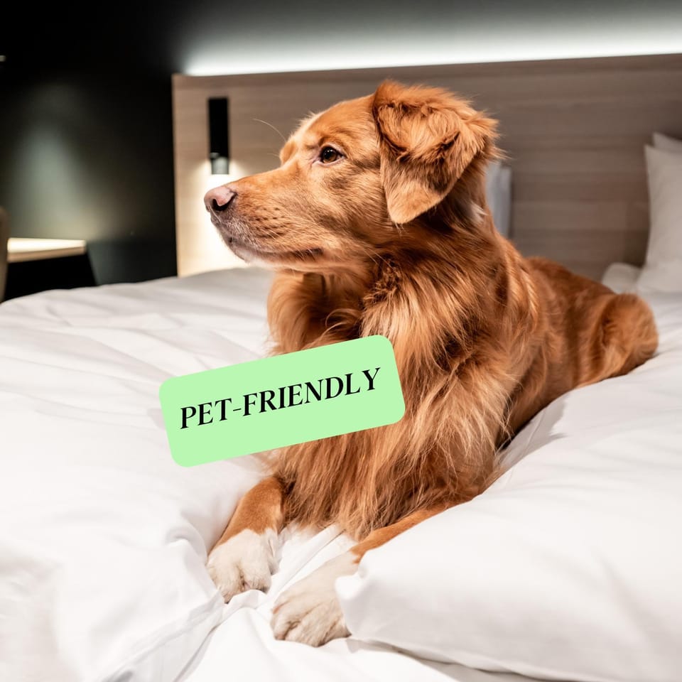 pet friendly
