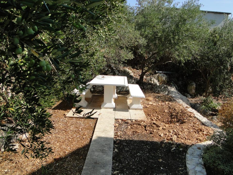 Natural landscape