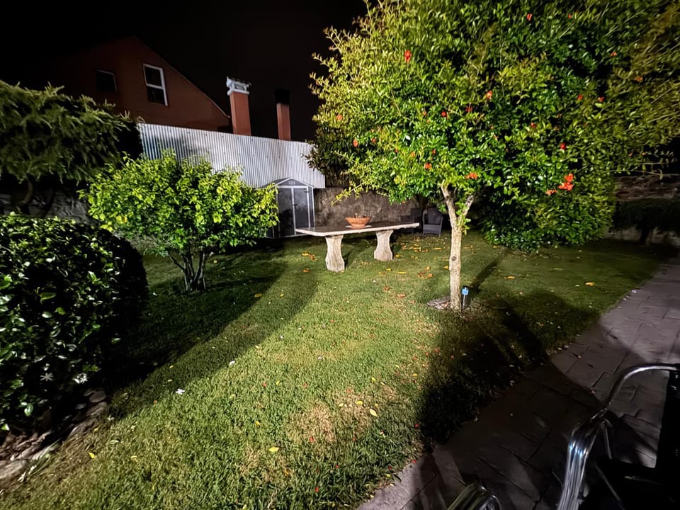 Natural landscape, Garden, Garden view