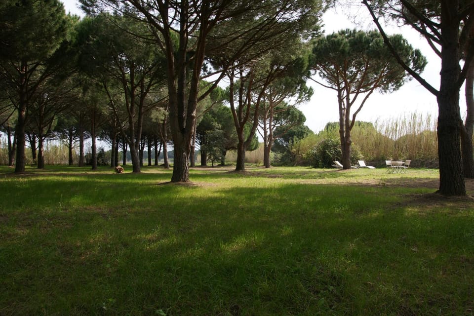 Natural landscape