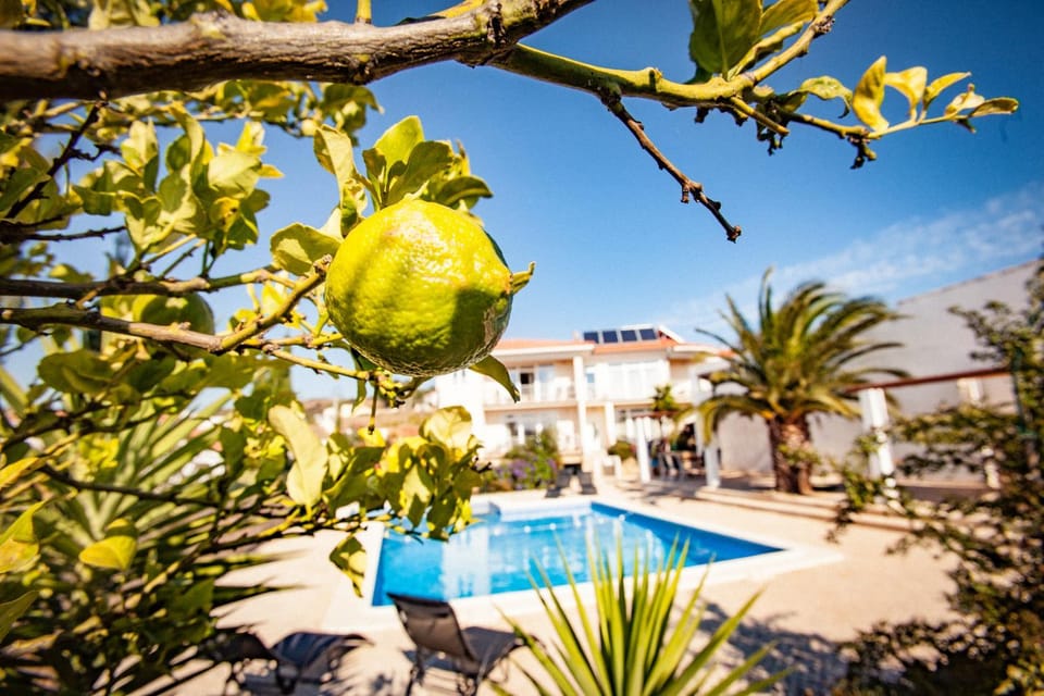 Casa do Pocinho Apartment in Faro District