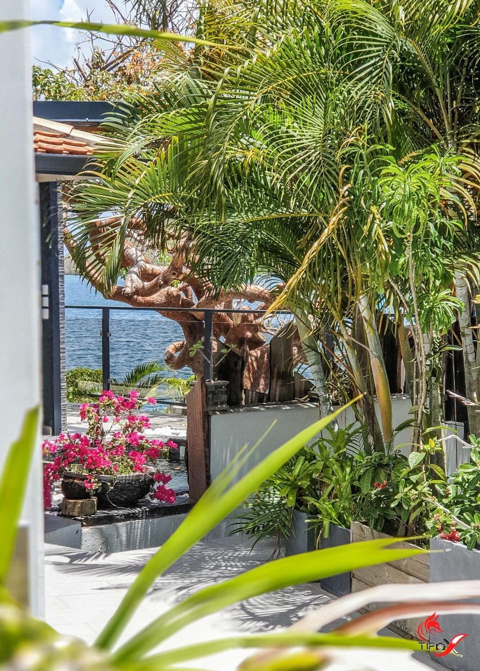 Garden, Balcony/Terrace