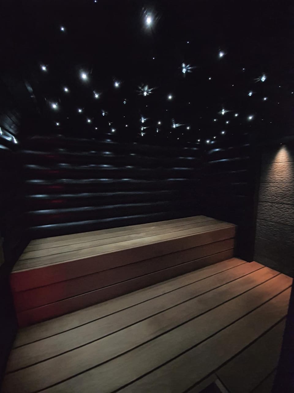 Sauna, Spa and wellness centre/facilities