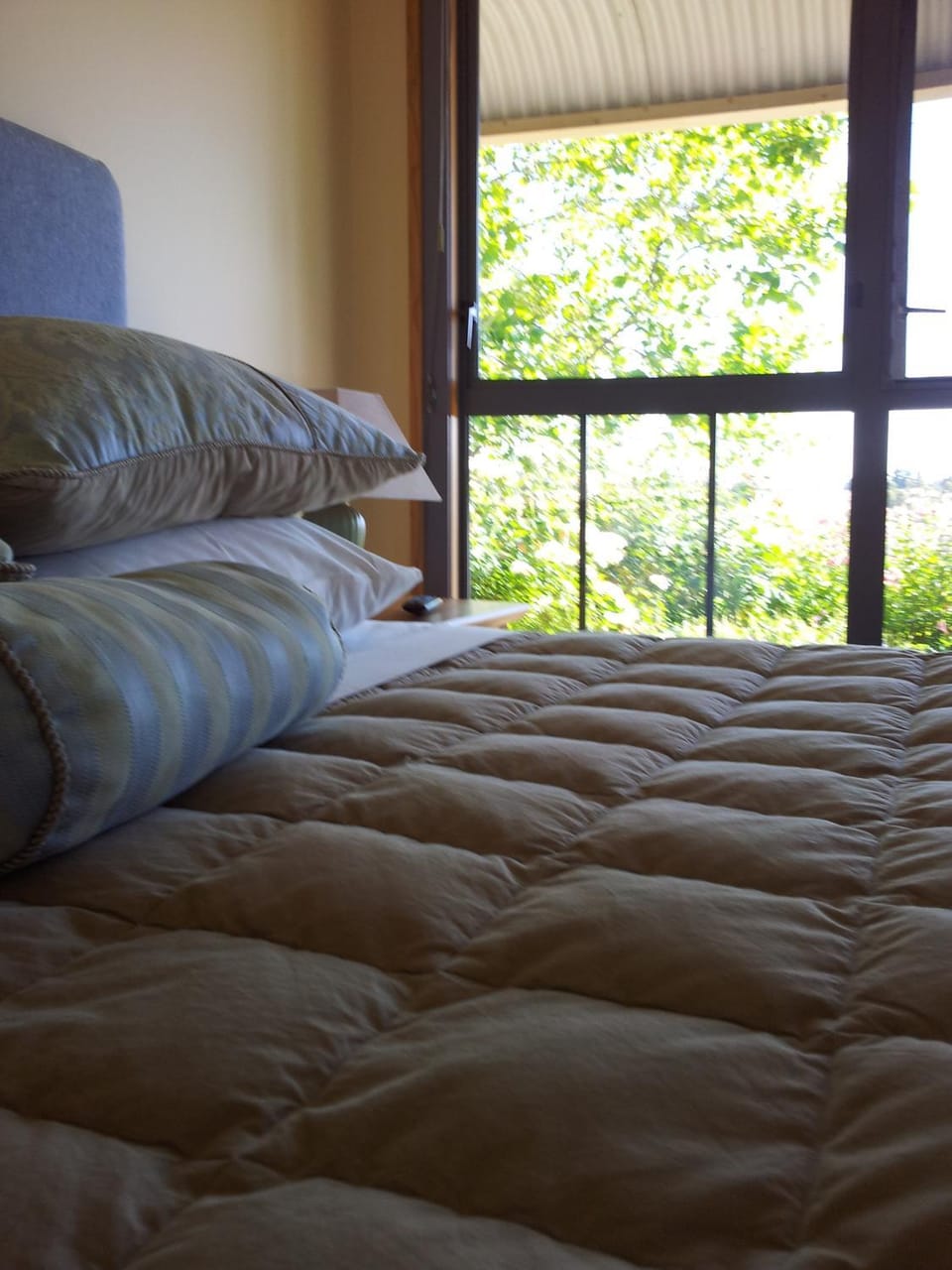 Hawkdun Rise Vineyard & Accommodation Bed and Breakfast in Alexandra