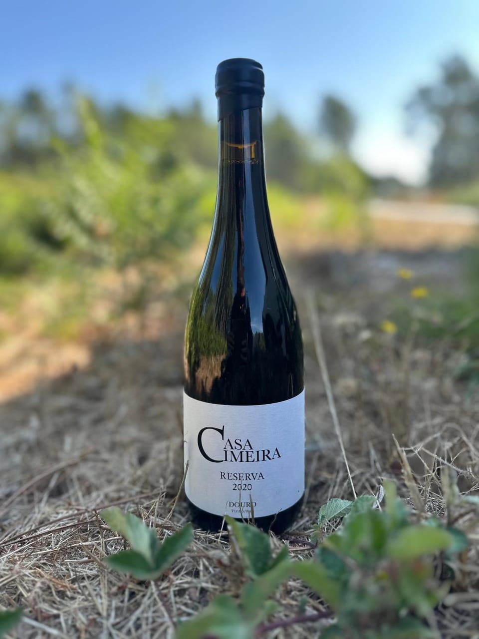 QUINTA da CASA CIMEIRA - Douro Wine State, A House of Wine, Food & Memories Farm Stay in Vila Real District
