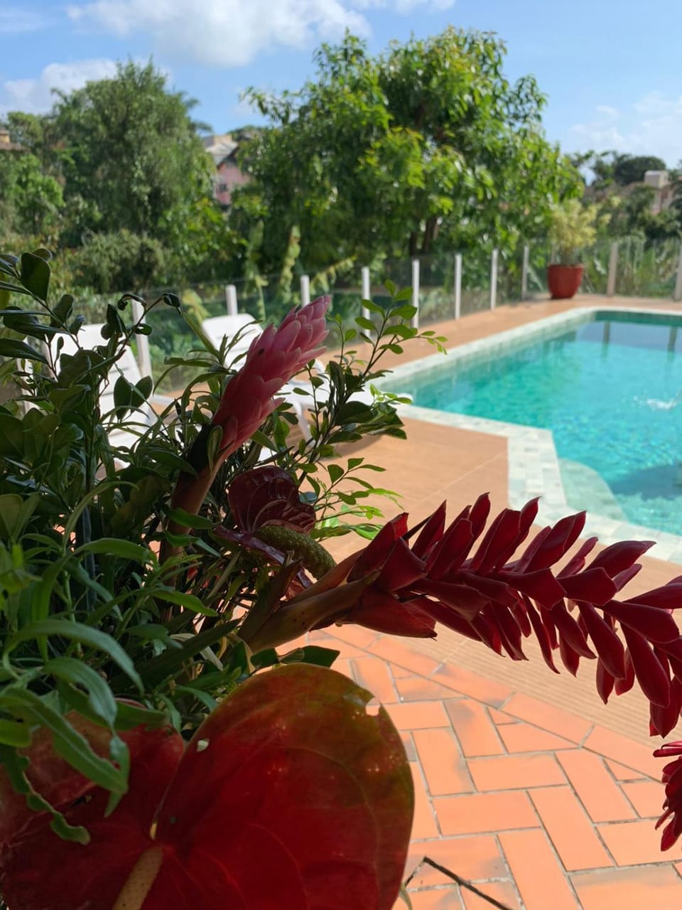 Pool view