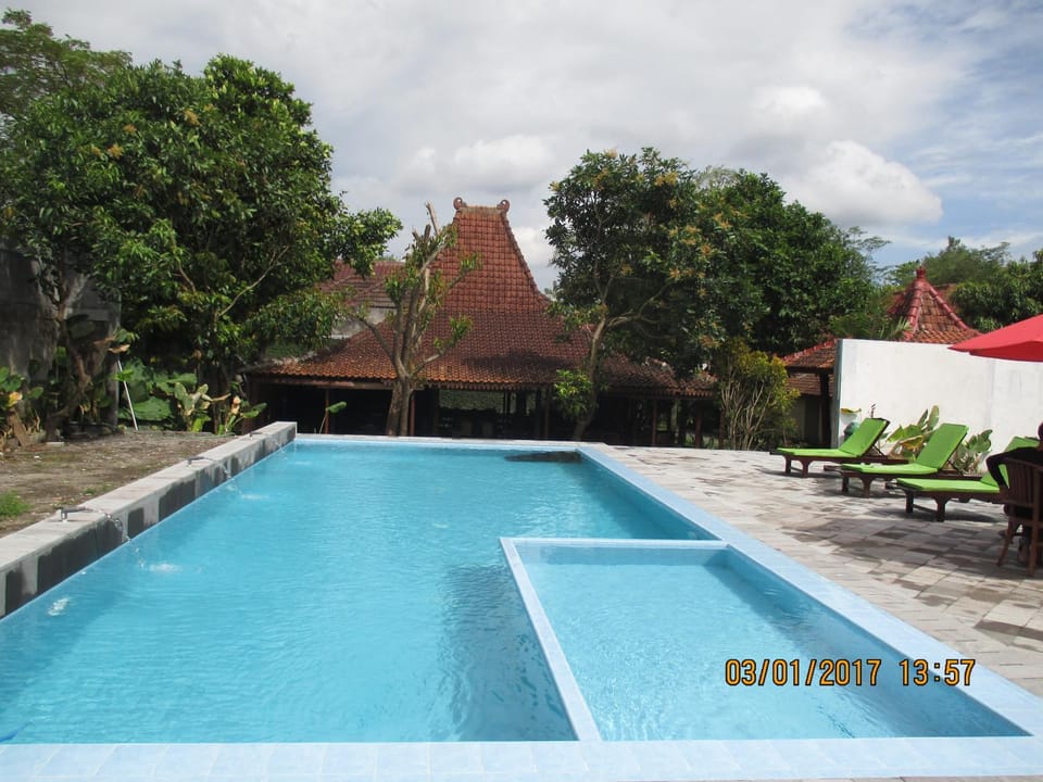 Day, Pool view, Swimming pool