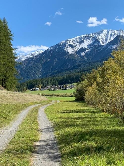 Fuldera Daint chasa Zanoli Whg im zweiten Stock Apartment in Canton of Grisons