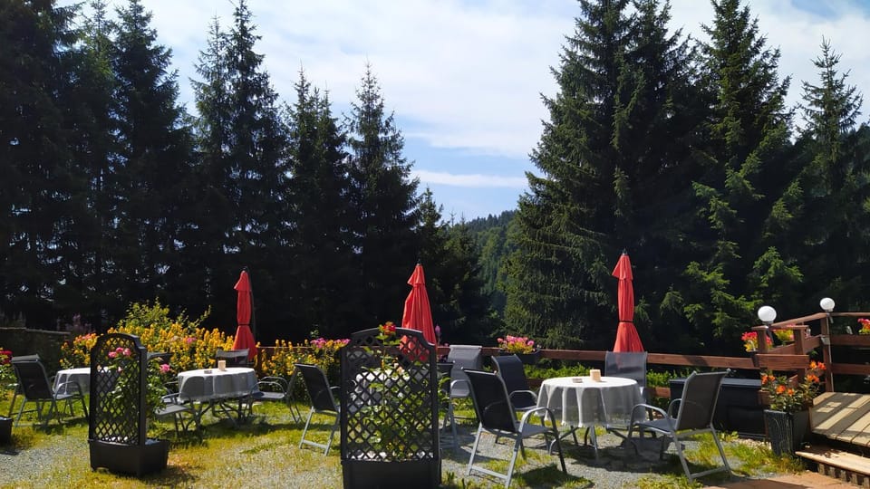 Patio, Garden, Balcony/Terrace