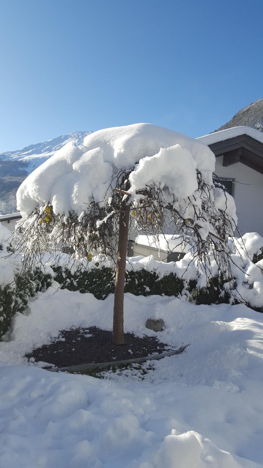 Alpenappartement Sonne Apartment in Tyrol